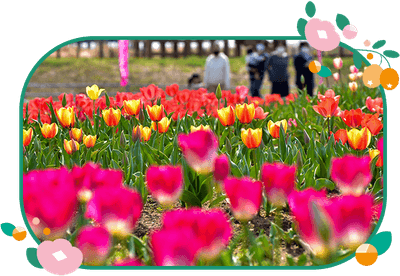 r23QdblfS3Vn2O8PsIkf.png?w=940&h=940