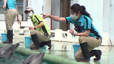 r2ADvMk9YgqOdEFSyDn5.jpg?w=940&h=940