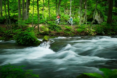 r36mgJnv2K3JbukVsgak.jpg?w=940&h=940