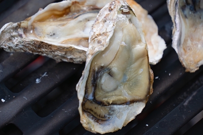 r38BirGmWD4mttLcWXSX.jpg?w=940&h=940