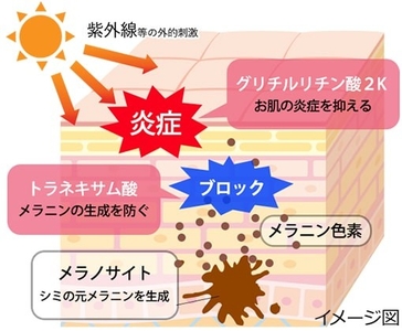 r3EXry0k8grVq6AZGy59.jpg?w=940&h=940