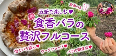 r3JriA7eZrv7XJTUrSWT.jpeg?w=940&h=940