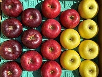 r3TJxbENlgqfwpzlAOyJ.jpg?w=940&h=940