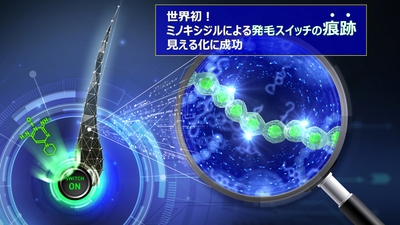 r3VLiMa9bVxoGPAlaift.jpg?w=940&h=940