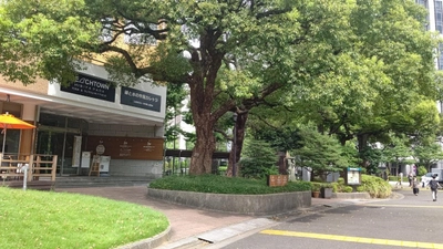 BEACHTOWN日比谷公園との連携事業の終了について