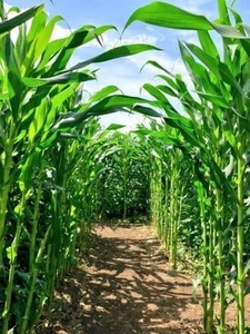 r3j3DdHSdWRuHMU55f7q.jpg?w=940&h=940