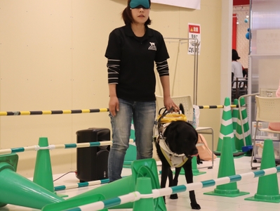 r5lyzimwKyfKOzIrYRbh.jpg?w=940&h=940