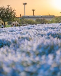 r6OaEswgZHlJYR29rUkZ.jpeg?w=940&h=940