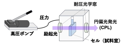 高圧環境下での円偏光発光の計測に成功　極限環境でのセンサー技術など幅広い分野への応用に期待