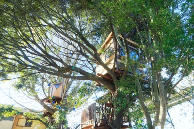 r6zTeiE8ZhEvGijfgfOi.jpeg?w=940&h=940