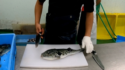 r70ClpTs6INrkrNB4EuL.jpg?w=940&h=940