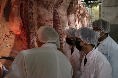 4/18(金)「栃木県後継者・高校・大学校肉牛枝肉研究会」を開催