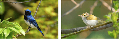 r7IcHvfjN259B3eXSZYY.png?w=940&h=940