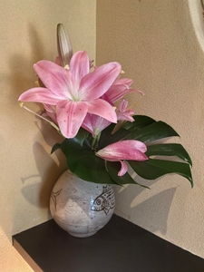 r7olqfREewoHG6Lgqp6r.jpg?w=940&h=940