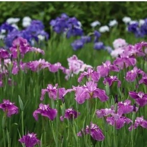 r8RMmsj7oMVze1Wx4nPv.jpg?w=940&h=940