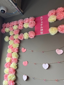 r9joVqb6sDD11xtOpw5k.jpg?w=940&h=940