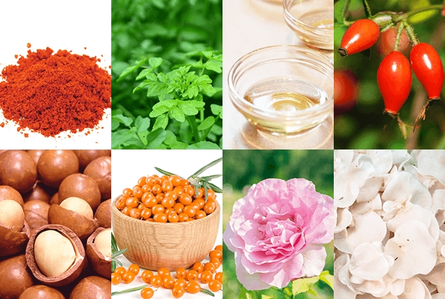 使用素材は100%自然由来です