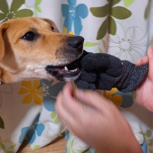 rDqqdoymnKX3kylskSfv.jpg?w=940&h=940