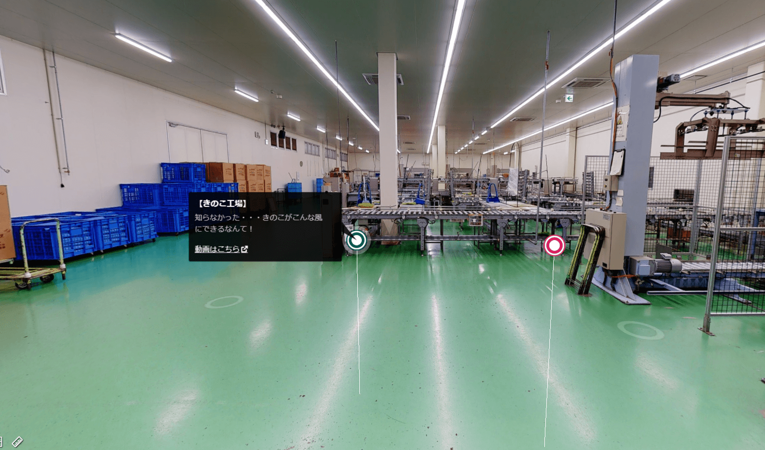 きのこがこんな風にできるなんて、知ってましたか?