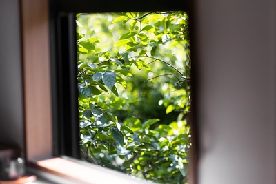 rEwkTfycmnAWsOF6ROc8.jpg?w=940&h=940