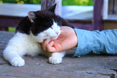 rFRnbbG47uROjYHI9ktG.jpg?w=940&h=940