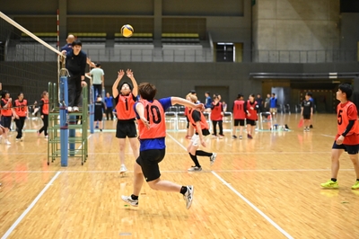 rFyqQ8jJsprf4NRMlS0O.JPG?w=940&h=940