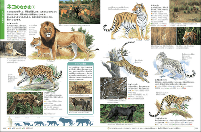 rH4a5iOf6UVFzgMcBMxc.png?w=940&h=940