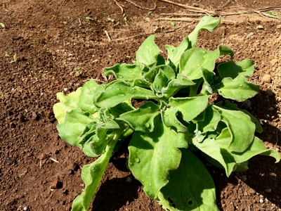 rHMt710jTBp0yCb7j6oV.jpg?w=940&h=940