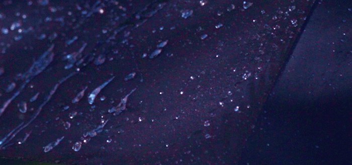 撥水性の高い傘