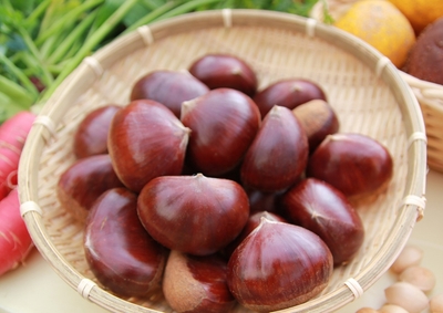 rIODT8jkvAenrnkp5vlD.jpg?w=940&h=940