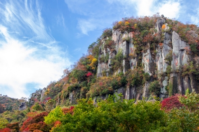 rJ7B2uHzP49D1eStISUx.jpg?w=940&h=940