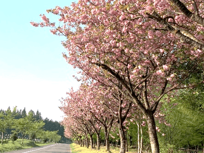 rJbaK5hxsfpC2xPiZOkI.png?w=940&h=940