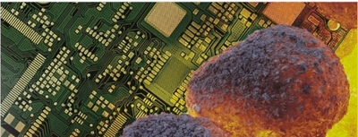 rJlu7C8zKrJEme4RDw13.png?w=940&h=940