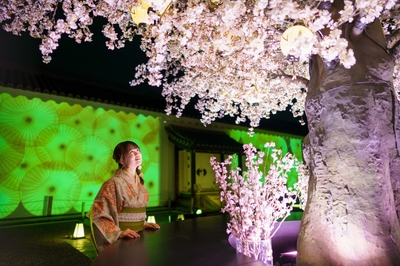 rKrPXwUDxKZtKgw1axRX.jpg?w=940&h=940