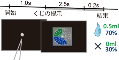 神経細胞の活動から個人の価値判断を予測する 〜プロスペクト理論が脳で実現される仕組みをサルで解明〜