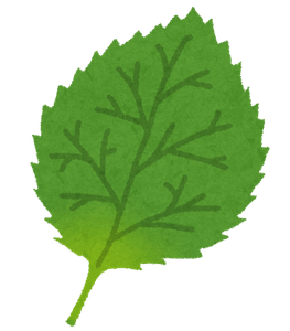 rLLpUokXVgXVe4x2Tc4F.png?w=940&h=940