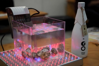 rLUSeuoFkPdnxThJcCLi.jpg?w=940&h=940