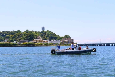 rMY9OWDIwt9jGJQgFi4M.JPG?w=940&h=940