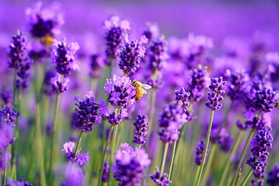 rOmhcMwRqZ9fF84OCAcJ.jpeg?w=940&h=940