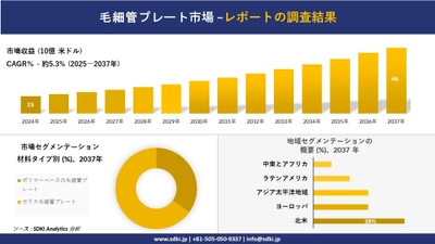 毛細管プレート市場の発展、傾向、需要、成長分析及び予測2025ー2037年