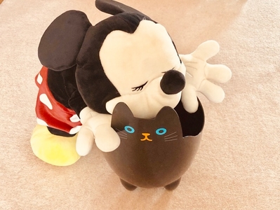 rPmACw25gElgFMotGePz.jpg?w=940&h=940