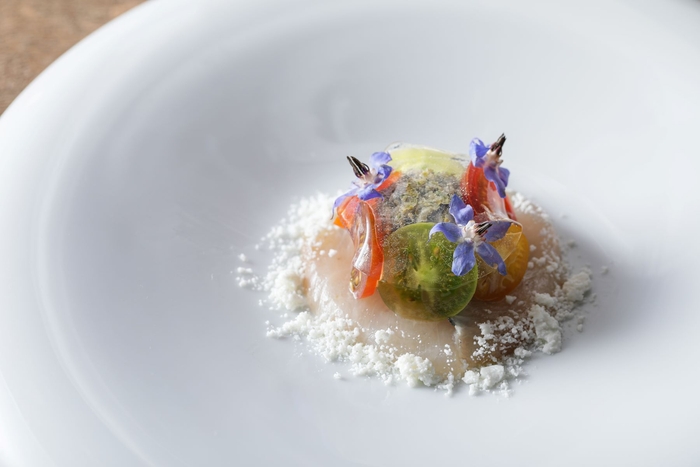 縞鯵と愛知県産カラフルトマトのカルパッチョ ディルと茗荷のラヴィゴット フェタチーズのアクセント