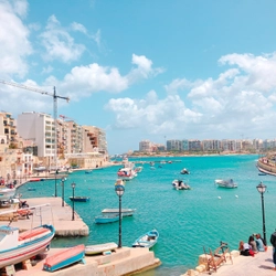 「マルタ共和国 Japan Expo 」開催に向けた 特別説明会を議員会館にて開催