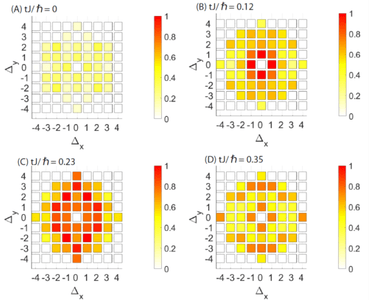 図3：2次元系での非局所相関の時間発展