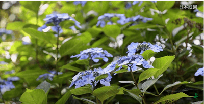 rQYEhxU5L8htDfpdAGAu.png?w=940&h=940