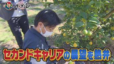 rQkjCsqm57LnfB6moPYP.jpg?w=940&h=940