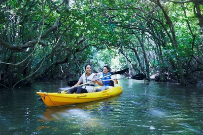 rRbfgF6O7OdbzVeAZehF.jpg?w=940&h=940