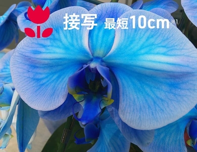 rS3DwRhumHnEG7vnjNRN.jpg?w=940&h=940