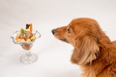 rSg0HOWYiCnssSpUR7PS.jpeg?w=940&h=940