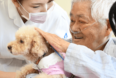 rStwTUFoDxVpaXitbMsE.png?w=940&h=940